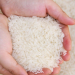 كم سعرة في الرز ؟